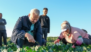 Menemen'de Tarladan Sofraya Birlik Rüzgarı