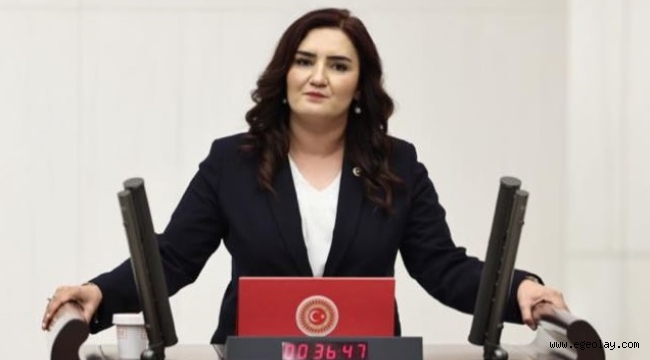 CHP'li Sevda Erdan Kılıç; "Veli Kayıp; Dosya Kısıtlı"