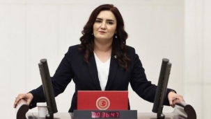 CHP'li Sevda Erdan Kılıç; "Veli Kayıp; Dosya Kısıtlı"