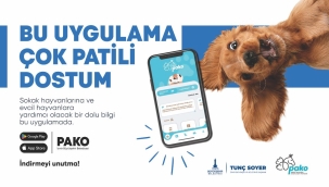 Büyükşehir'den can dostlar için "Pako" mobil uygulaması 