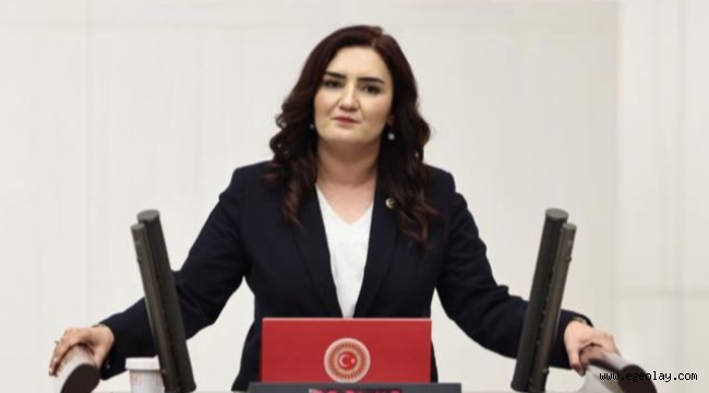 CHP İzmir Milletvekili Sevda Erdan Kılıç:Kazamı Cinayet mi? 