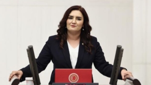 CHP İzmir Milletvekili Sevda Erdan Kılıç:Kazamı Cinayet mi? 