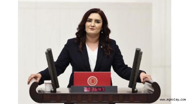CHP'li Sevda Erdan Kılıç: "İzmirli Depremzedelerin Okul Çilesi 3 Yıldır Bitmedi"