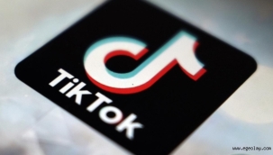 TikTok'tan çocuk istismarına 13 tutuklama 