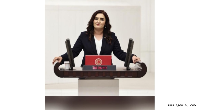 CHP İzmir Milletvekili Sevda Erdan Kılıç: Epstein Davasındaki Türkiye İddialarını Meclis Gündemine Taşıdı