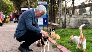 Adnan Öztekin'den Buca'da Sokak Hayvanları Projesi