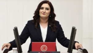 CHP İzmir Milletvekili Sevda Erdan Kılıç: