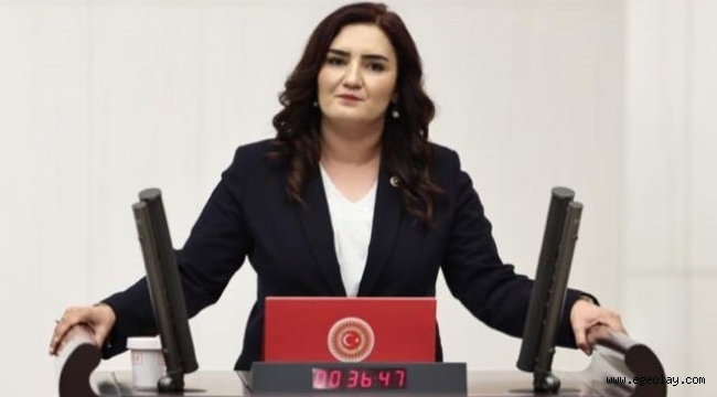 CHP'li Sevda Erdan Kılıç: "Vaat Kopya; Sonuç Fiyasko"