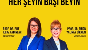 Her Şeyin Başı Beyin 