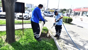 İzmir Büyükşehir Belediyesi ilaçlama çalışmalarına hız verdi