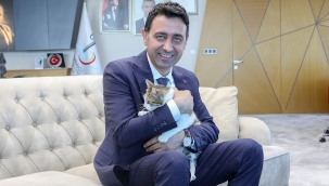 Başkan Önal, yaralı kediye sahip çıktı 'sahiplenme' çağrısı yaptı 