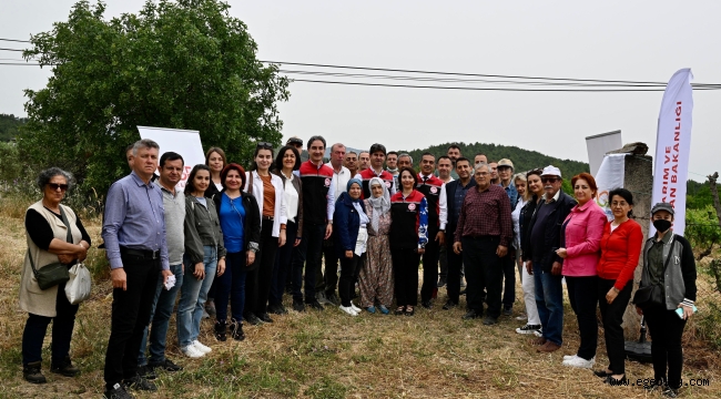 İzmir'de Kahverengi Kokarca'ya Biyolojik Savaş Açıldı