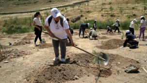 Peyzaj mimarlarından Karşıyaka'ya hatıra ormanı 