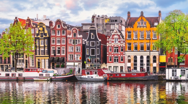 Türkiye'deki girişimciler artık Hollanda'da 10 günde şirket kurabiliyor 