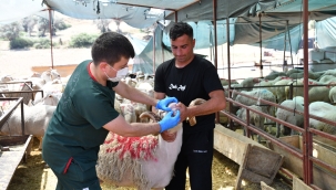 Karabağlar'da Kurban Bayramı öncesi sıkı denetim 