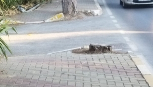 Urla'da Elektrik Tehlike Saçıyor