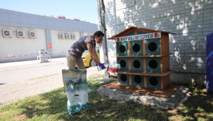 Bayraklı'da pati evlerinin sayısı artıyor 