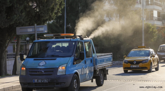 Buca Belediyesi, beyaz sineklere karşı ilaçlama başlattı