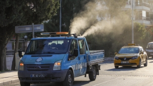 Buca Belediyesi, beyaz sineklere karşı ilaçlama başlattı