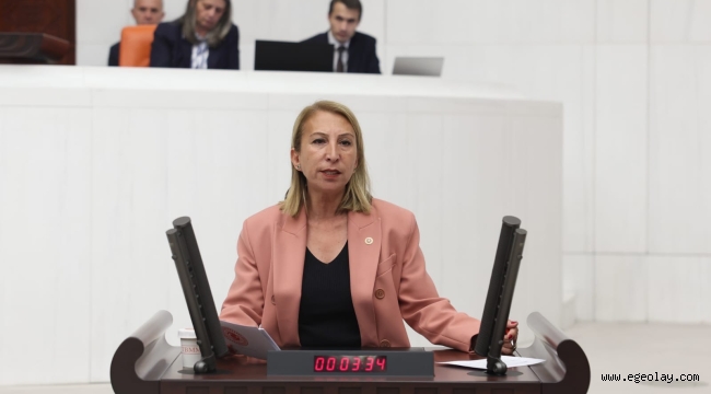 CHP Muğla Milletvekili Süreyya Öneş Derici: "Ortadoğu'dan Yeni Bir Göç Dalgasına Hazır Mıyız?" 