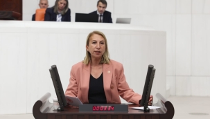 CHP Muğla Milletvekili Süreyya Öneş Derici: "Ortadoğu'dan Yeni Bir Göç Dalgasına Hazır Mıyız?" 