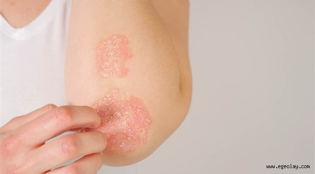 Beynimiz Hormonlarımız ve Gizli Tehlikeler: Cinselliğin Görünmeyen Yüzü