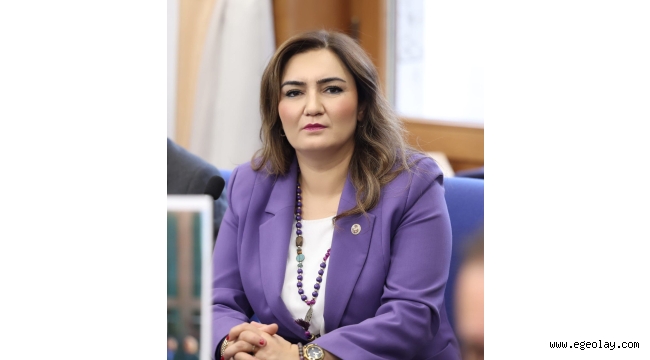 CHP İzmir Milletvekili Sevda Erdan Kılıç: "Adalet Bakanlığı Değil Bize Sosyal Medya Bakanlığı Lazımmış"