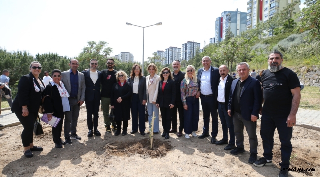 Karşıyaka'da zeytin fidanları toprakla buluştu