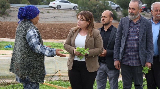 TBMM Başkanvekili CHP Denizli Milletvekili Gülizar Biçer Karaca: "Biz Köylüden Çiftçiden Emekten Yanayız"