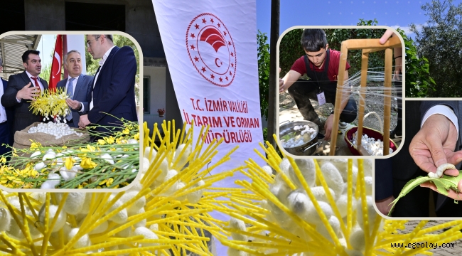 Beydağ'da Kozalar Çiçek Açtı