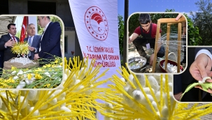 Beydağ'da Kozalar Çiçek Açtı