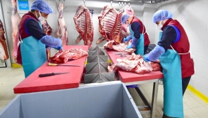 İZTARIM yerli, güvenli ve sağlıklı eti sofralara taşıyor 