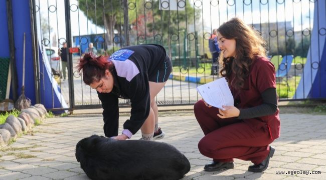 Buca'da sahiplenilen can dostlarına ücretsiz bakım