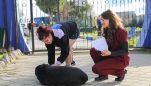 Buca’da sahiplenilen can dostlarına ücretsiz bakım 