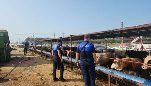 Çiğli'de kurban pazarlarına ve kesim noktalarına sıkı denetim 