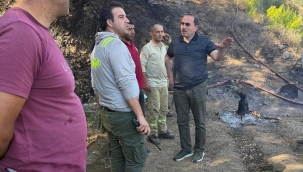 AK Partili Kırkpınar: Yaraları hep birlikte saracağız 