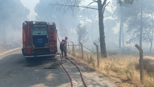 Bergama’da orman yangınına müdahale ediliyor 