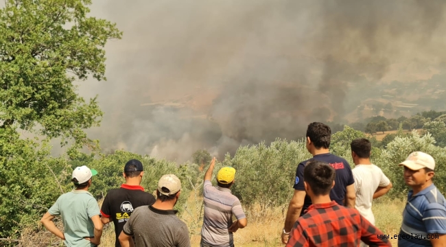 İzmir'de bir orman işçisi şehit oldu 