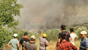 İzmir'de bir orman işçisi şehit oldu 