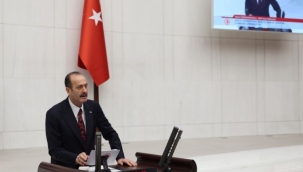 MHP'li Osmanağaoğlu: Ormana Zarar Vermek de Vatana İhanetle Eş Değerdir