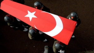 Şehit sayımız 8'e yükseldi 