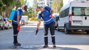 Buca’da ilaçlama atağı 