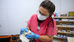 Bornova'da modern altyapısı ve uzman kadrosuyla patili dostlara yeni bir yuva 