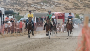 Türkiye'nin en başarılı atları Menemen'de yarışacak 