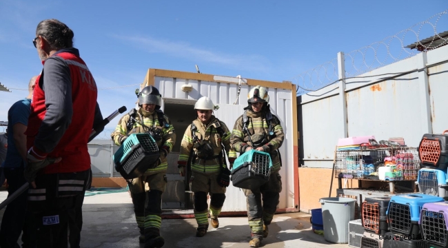 Bayraklı'da gerçeği aratmayan tatbikat: Hayvan Barınağında Orman Yangını Tatbikatı 