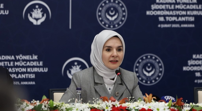 "Türkiye'de Kadına Yönelik Şiddet Araştırması" tamamlandı 