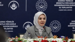 "Türkiye'de Kadına Yönelik Şiddet Araştırması" tamamlandı 