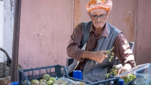 Beydağ incirinin katma değeri artıyor 