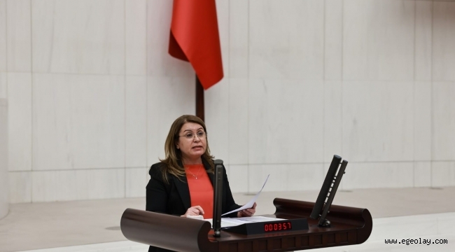 CHP'li Gülizar Biçer Karaca'dan Kadın Cinayetleri Hakkında Yasa Teklifi