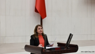 CHP'li Gülizar Biçer Karaca'dan Kadın Cinayetleri Hakkında Yasa Teklifi